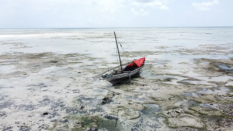 Photo of an abandoned fishing boat stranded on the beach, Zanzibar, Tanzania.