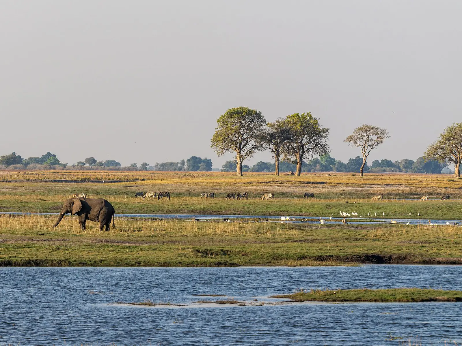 Chobe National Park, on the Chobe River in the park's north-eastern corner