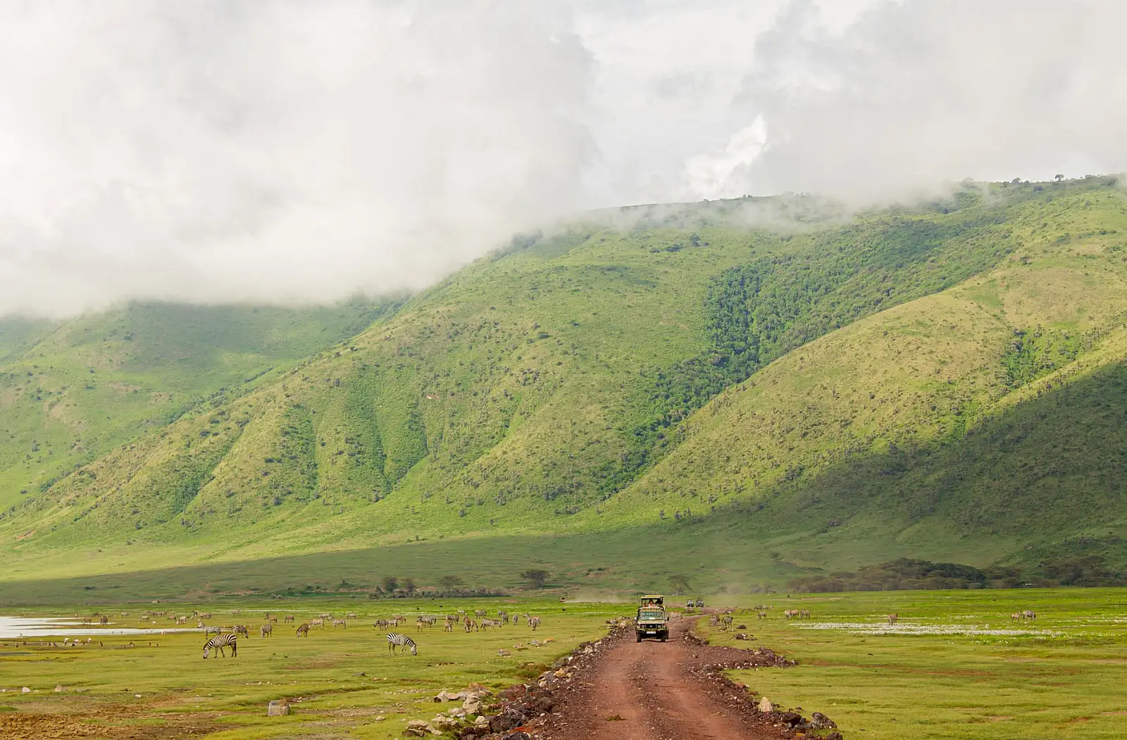 North-western rim of the Ngorongoro Crater, Ngorongoro Conservation Area