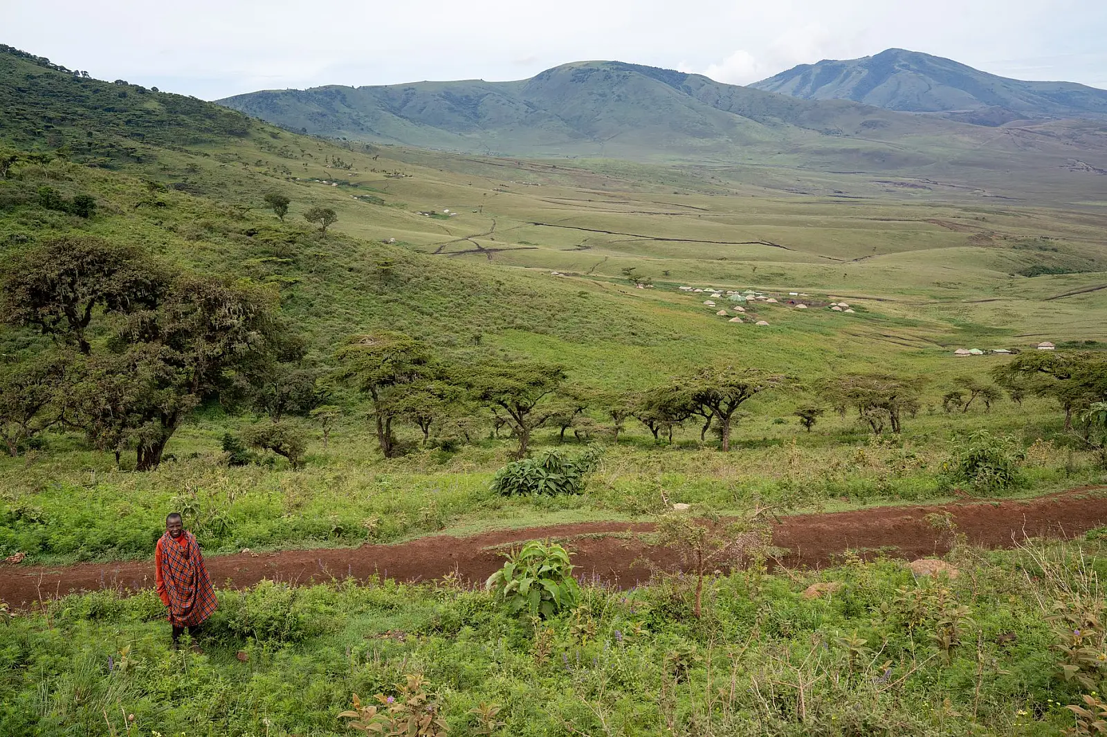 Karatu, on the outer slopes of the Ngorongoro Highlands (Ngorongoro Conservation Area boundary)