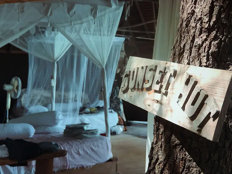 Malaria on Safari: What Official Guidance Says