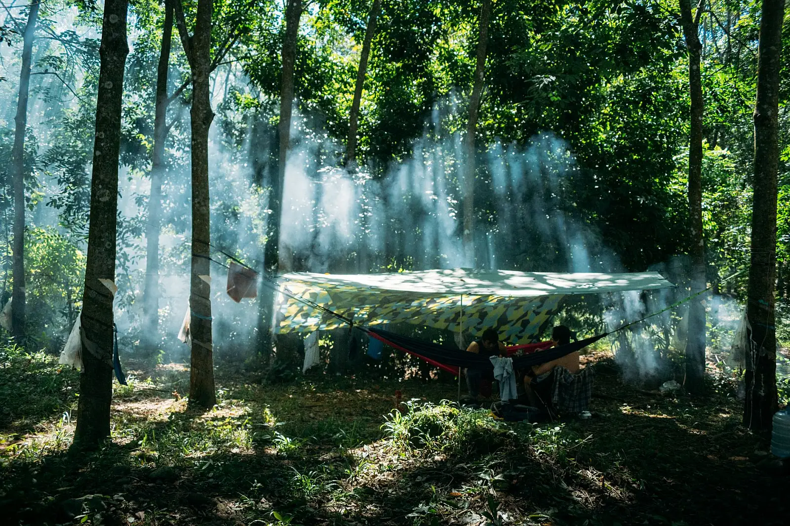 A peaceful forest camp with sunbeams streaming through the trees onto a tarp and hammocks.