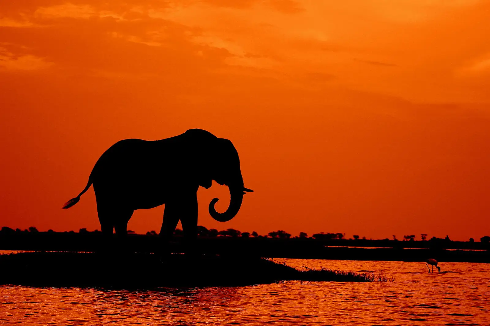 Ghoha Hills, Savuti area, Chobe National Park