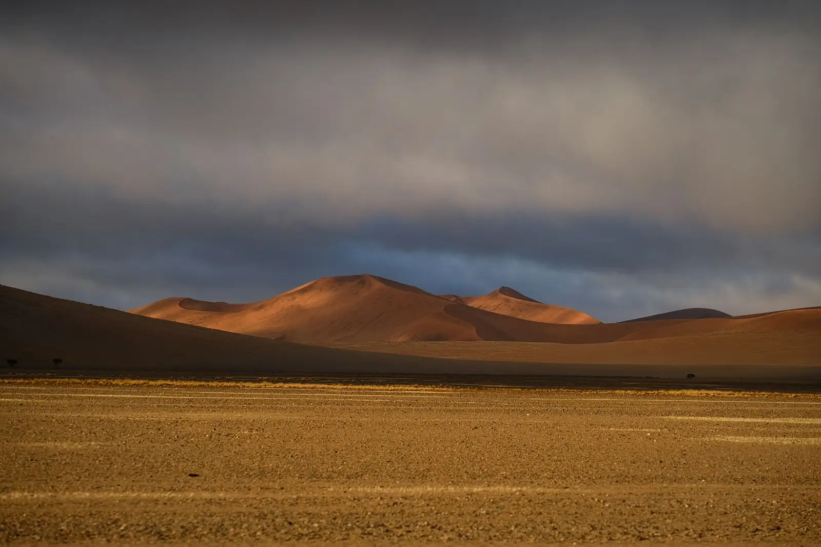 Sesfontein Conservancy, Hoanib River valley, Kaokoveld / Kunene Region