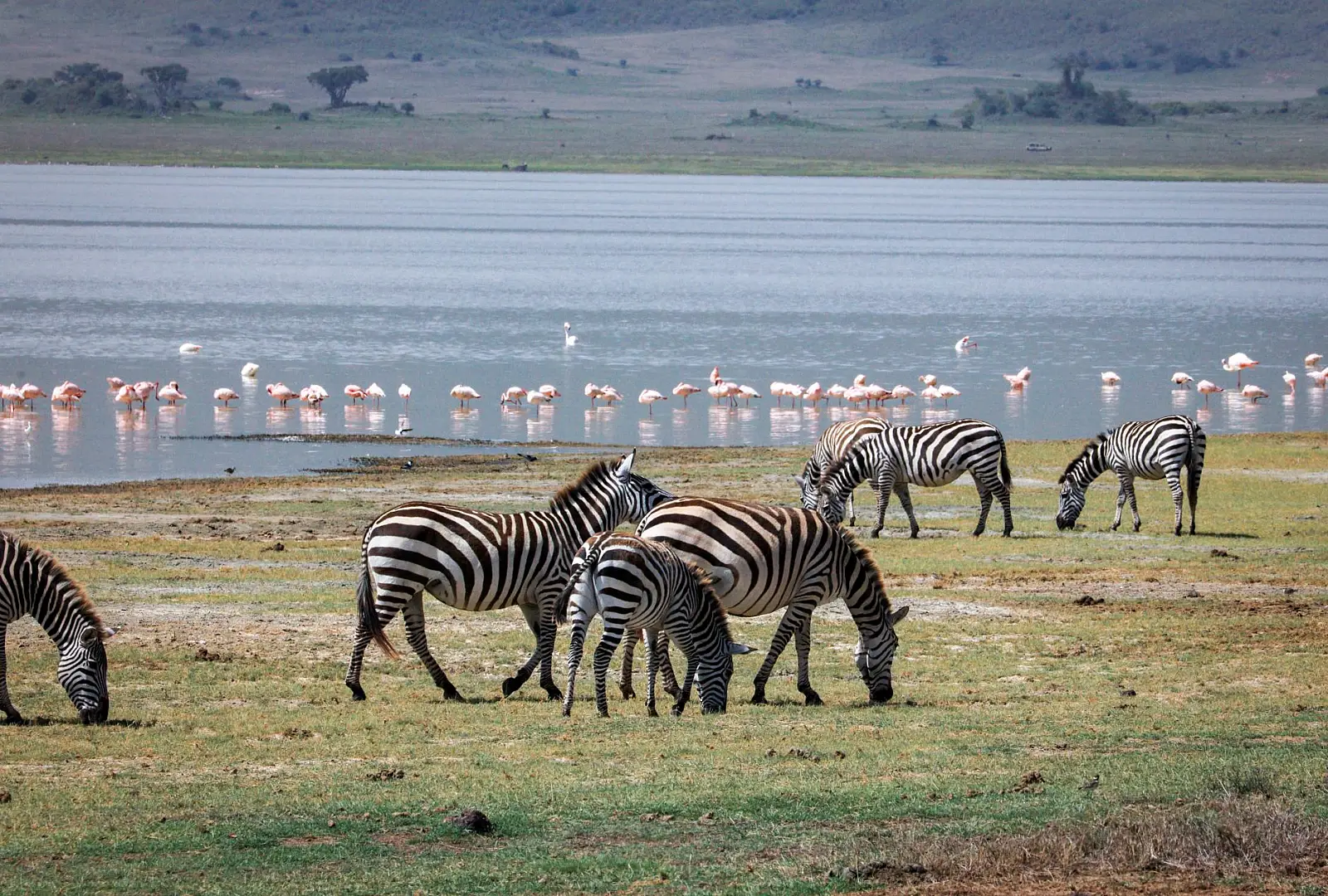 On the Mto wa Mbu escarpment above Lake Manyara National Park