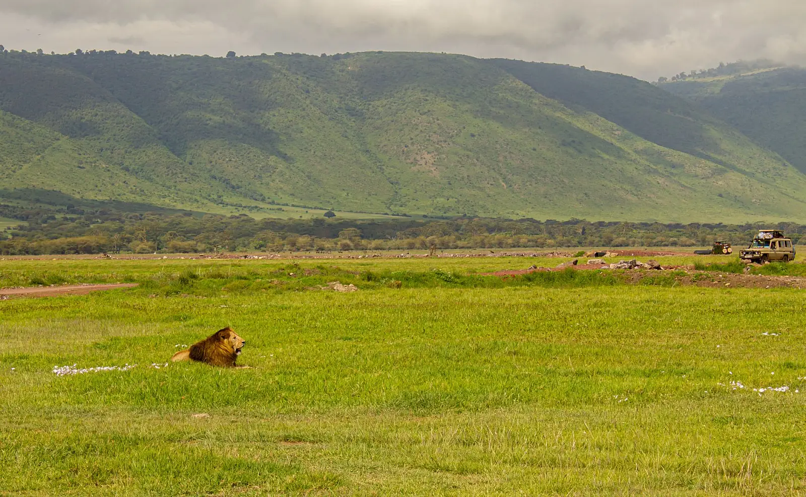 Karatu, in the Ngorongoro highlands between Lake Manyara and the Ngorongoro Crater