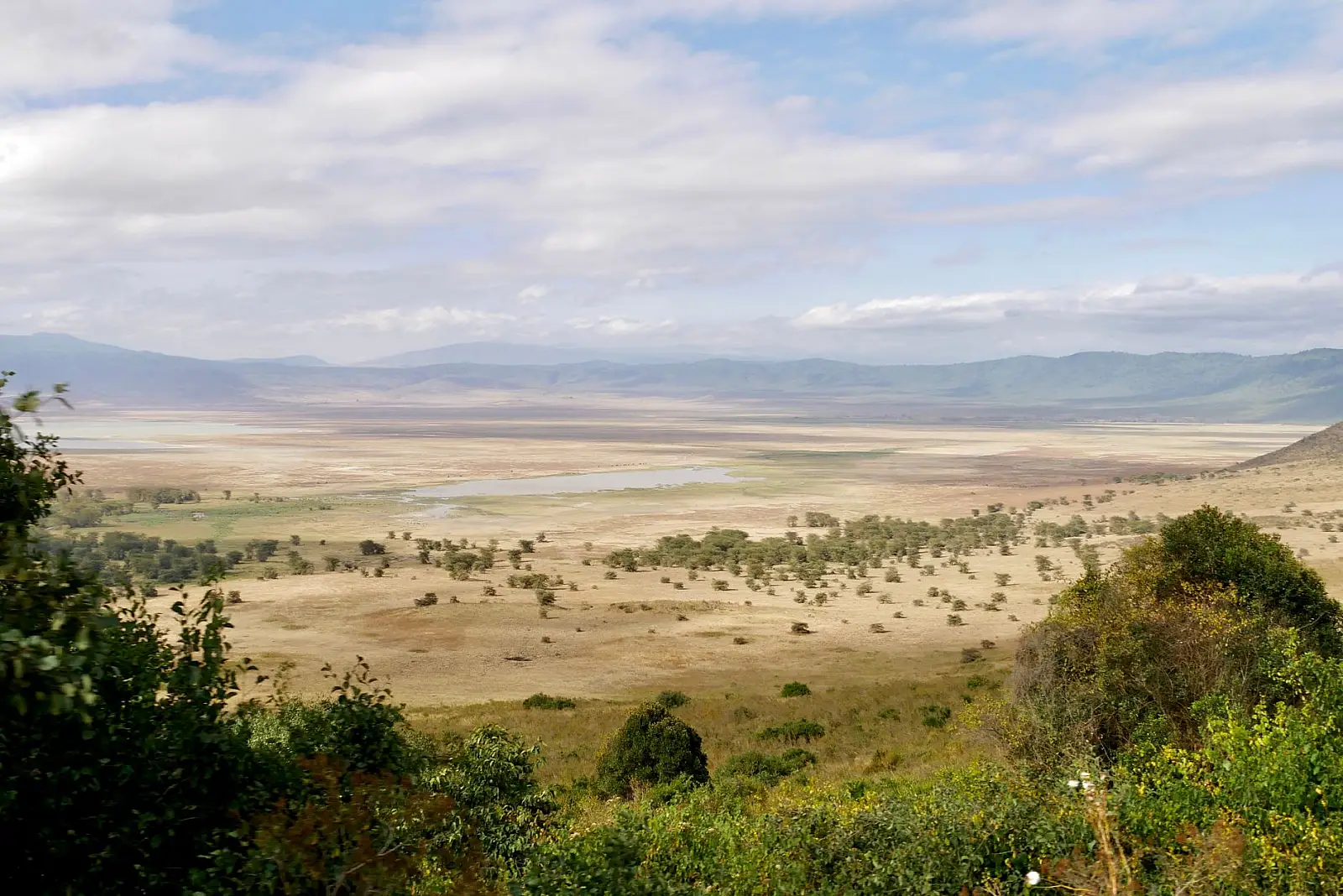 Southern rim of Ngorongoro Crater, Ngorongoro Conservation Area