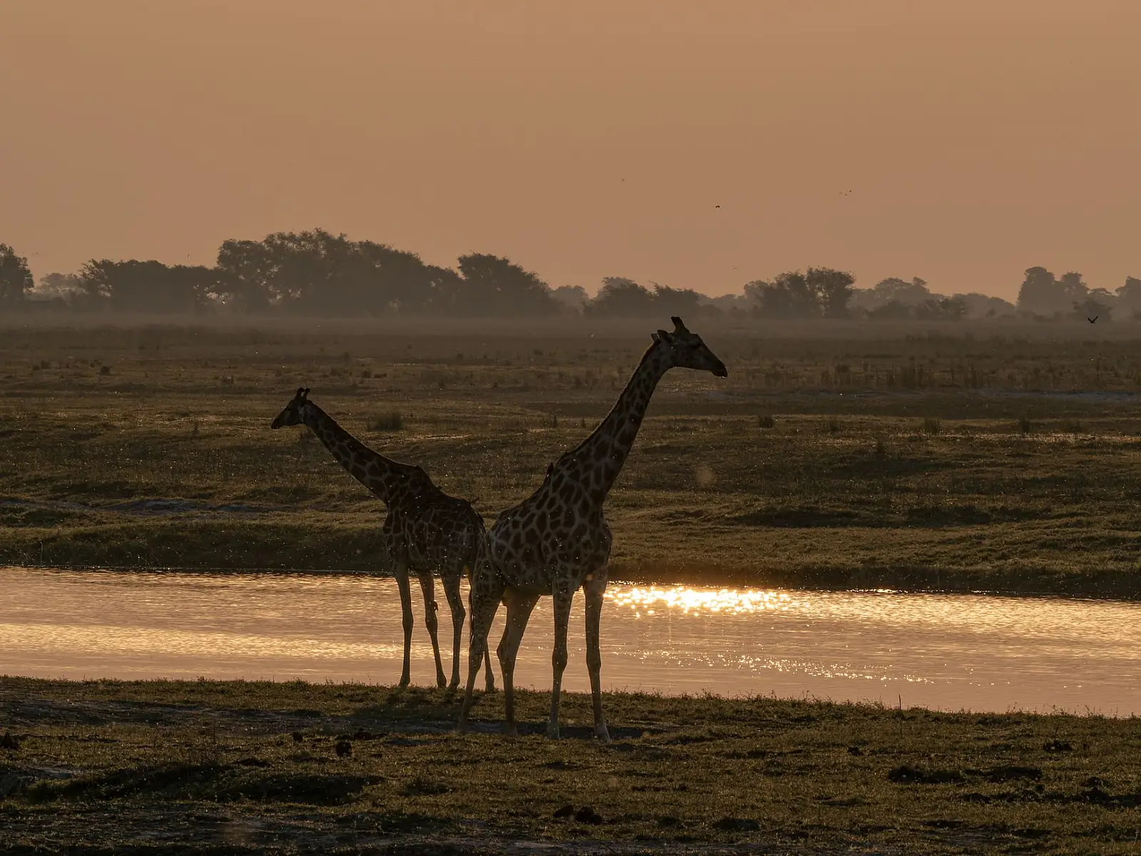 Private concession on the Xudum River, south-western Okavango Delta