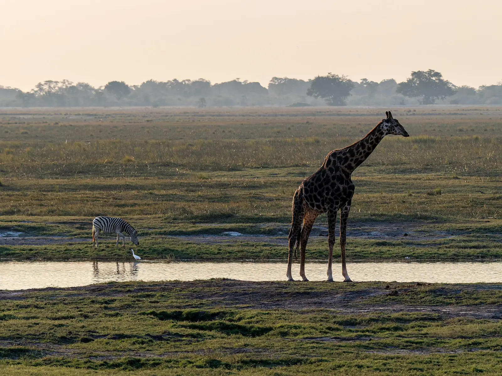 Vumbura concession, northern Okavango Delta