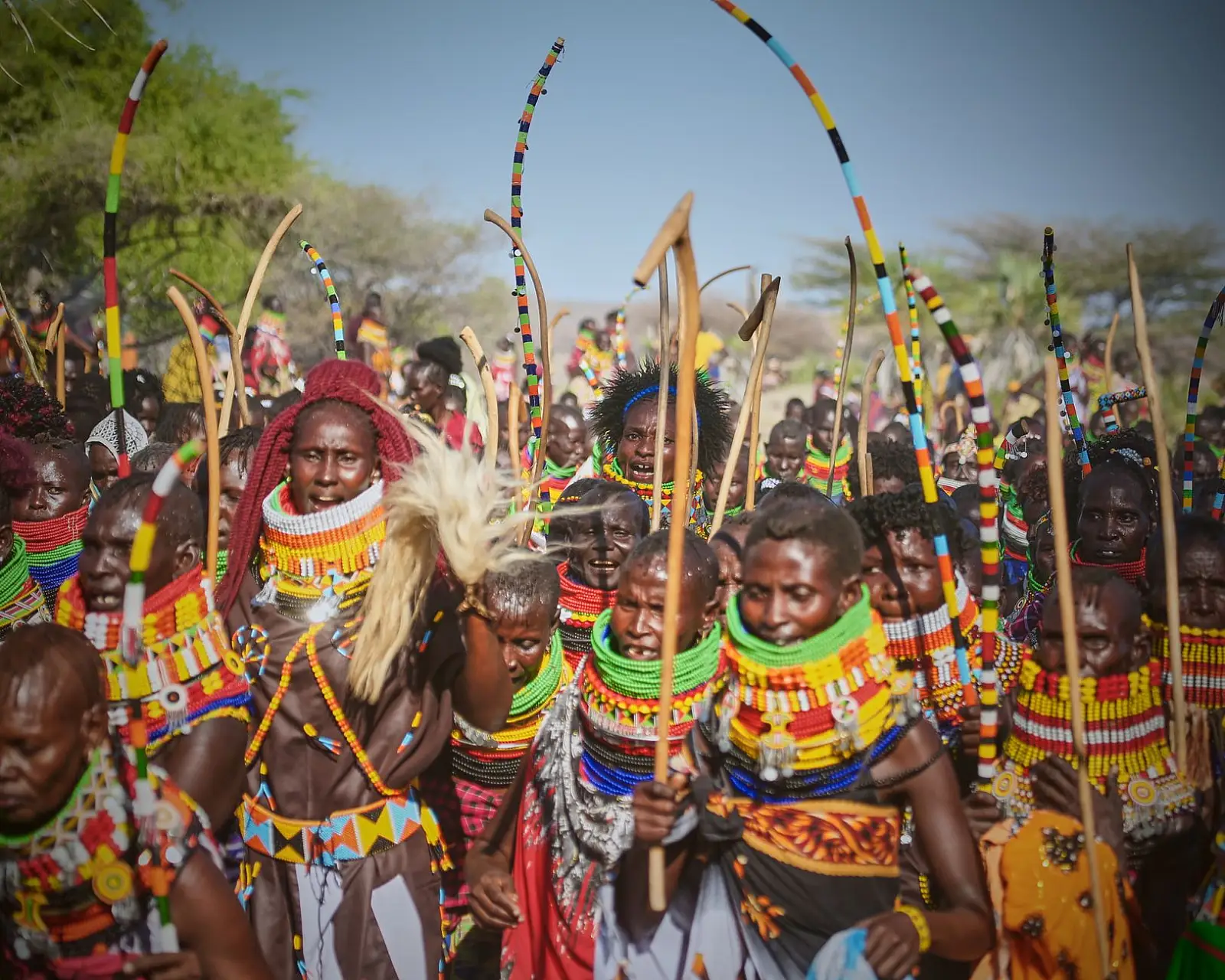 Samburu National Reserve, on the Ewaso Nyiro River, northern Kenya