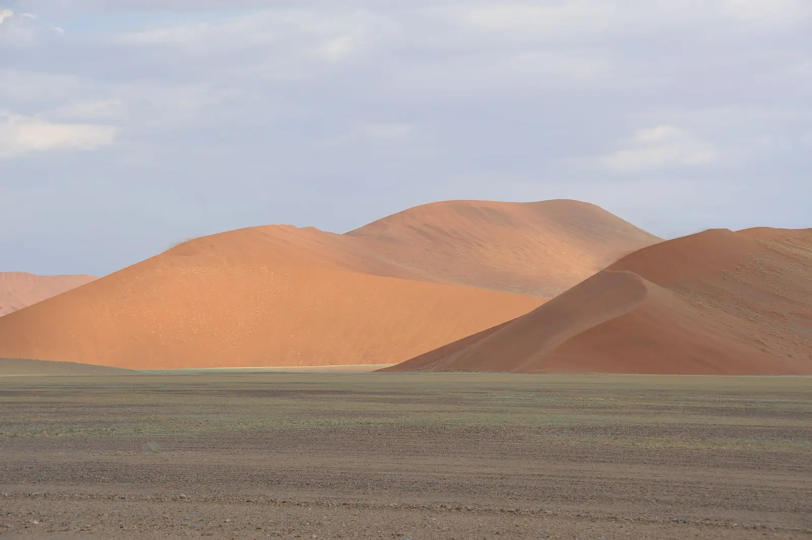 NamibRand Nature Reserve, Namib Desert