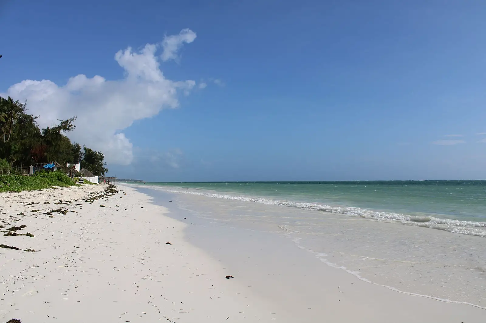 Shangani seafront, Stone Town, Zanzibar (UNESCO World Heritage Site)