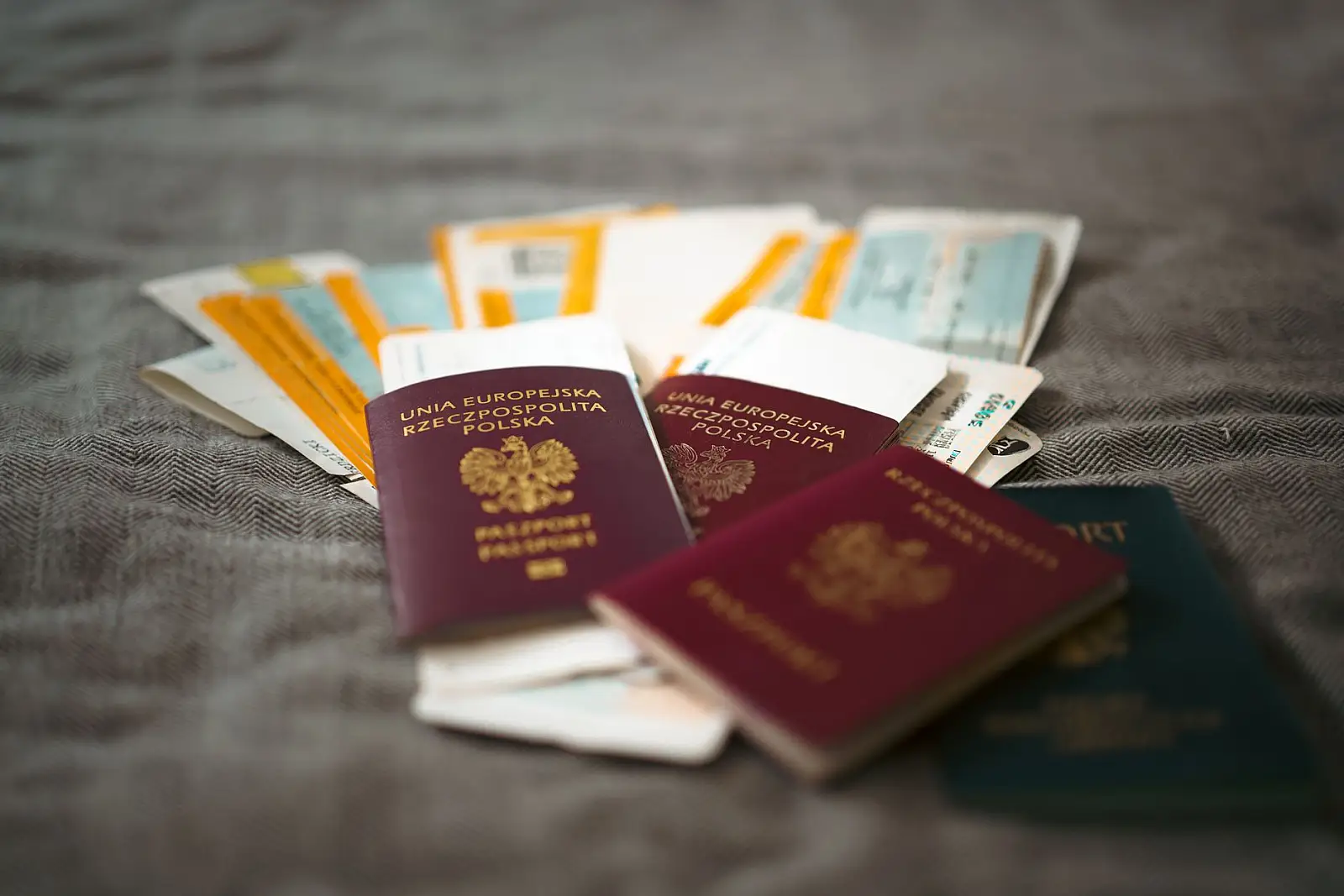 Visas and Entry Requirements for Safari Countries